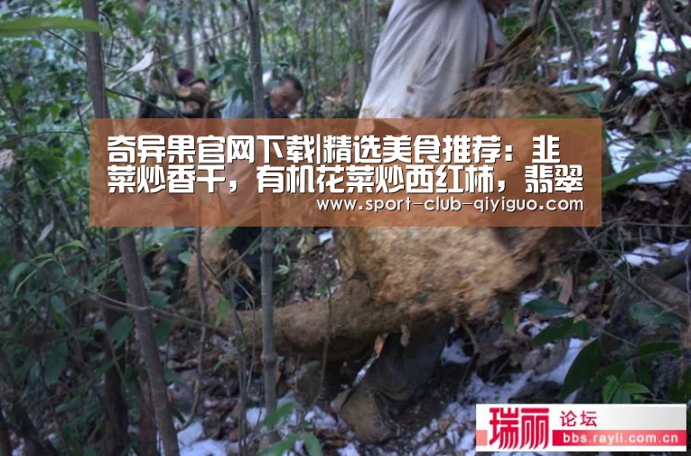 奇异果官网下载
