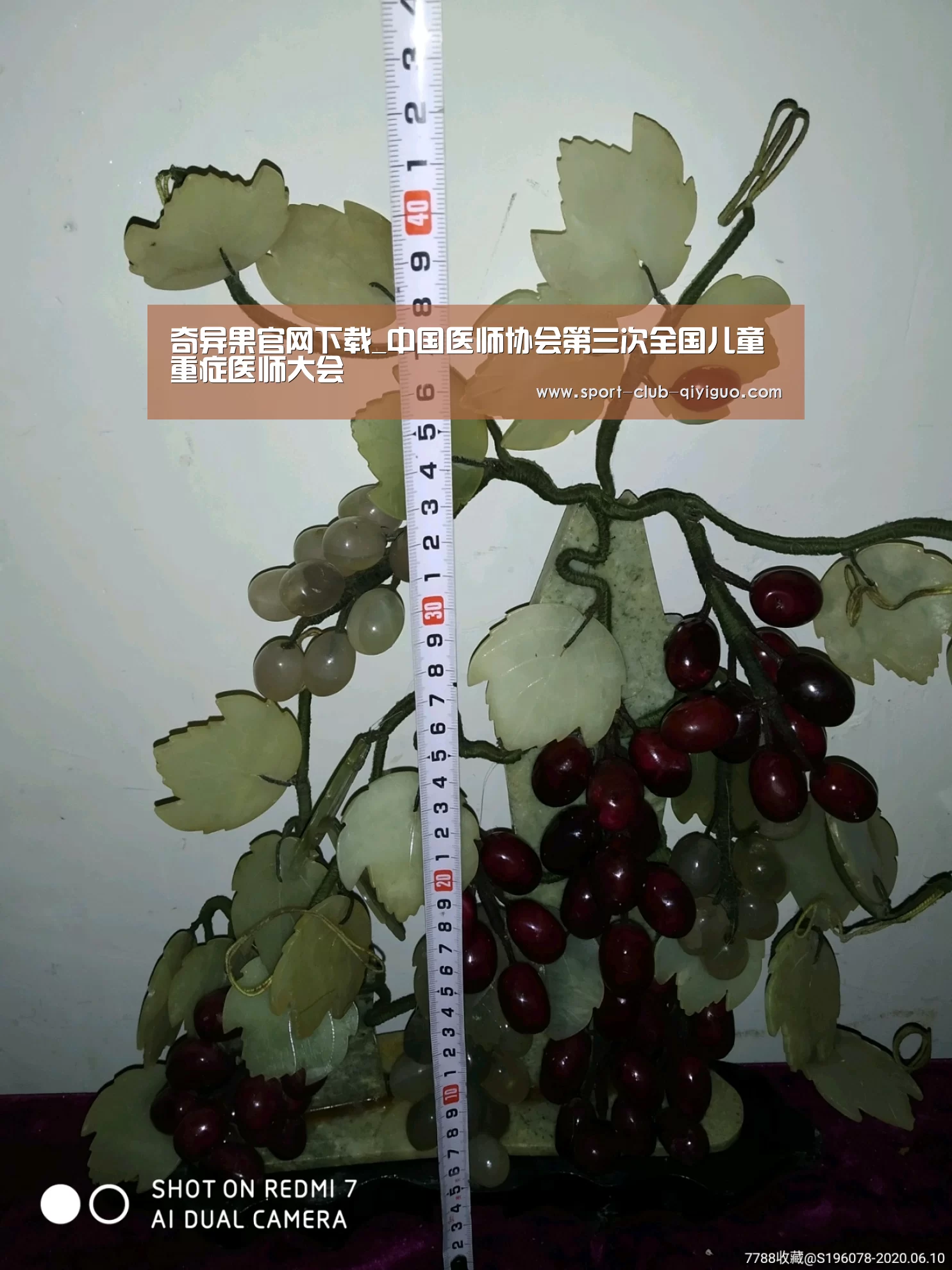 奇异果官网下载_中国医师协会第三次全国儿童重症医师大会(图2) 奇异果电脑版